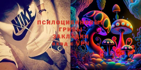 сатива Нягань