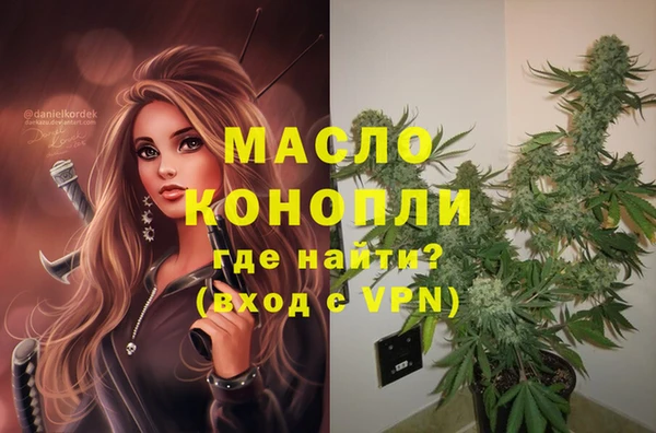 сатива Нягань