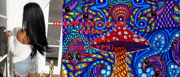 PSILOCYBIN Абинск